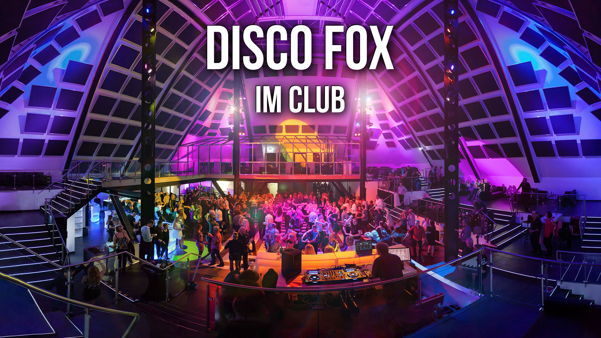 Disco Fox im Club